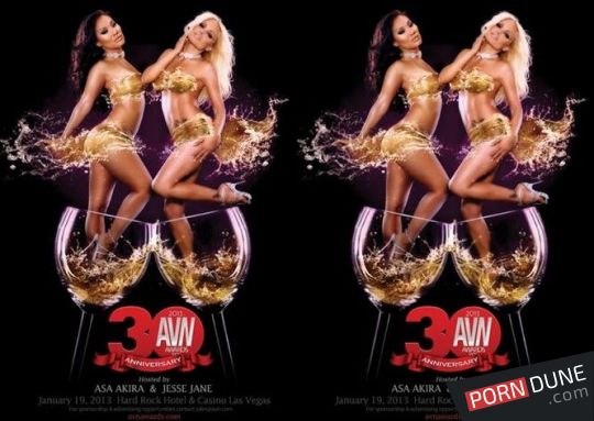 2013 AVN 颁奖典礼